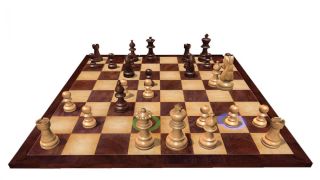 Fritz Chess 14