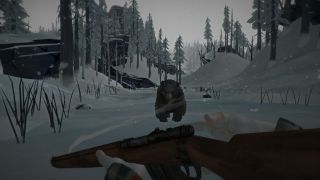 The Long Dark