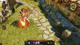 Divinity: Original Sin - Enhanced Edition