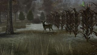 Whitetail Challenge