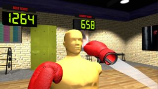 VR Boxing Workout