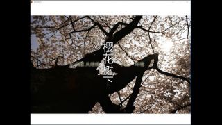 Beneath The Cherry Trees / 桜の樹の下には