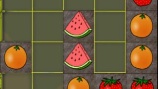 Fruit Arranger