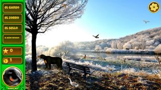 Hidden Animals: English - Spanish