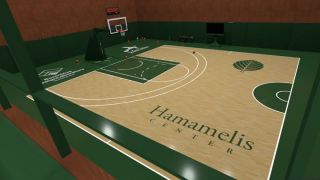 VR SHOOT AROUND - Realistic basketball simulator -