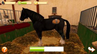 Horse World