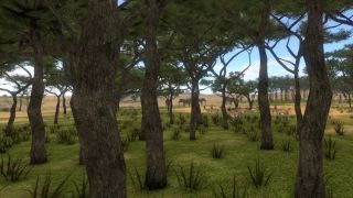 SAVANNA SHOT VR