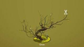 Tree Bonsai