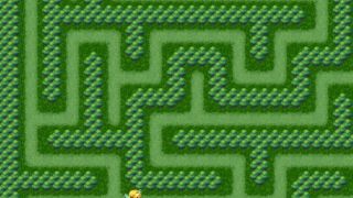 Maze Quest 1: The Forest