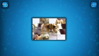 PUZZLE: CATS & DOGS