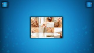 PUZZLE: CATS & DOGS