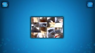 PUZZLE: CATS & DOGS