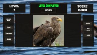 Fitzzle Majestic Eagles