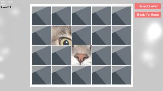 Cats Epic Puzzles