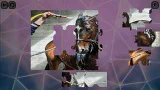 Puzzles for smart: Horses