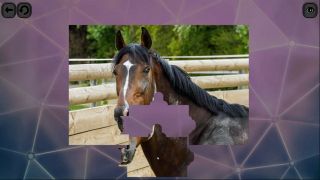 Puzzles for smart: Horses