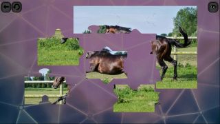 Puzzles for smart: Horses