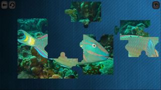 Puzzles for smart: Underwater Kingdom