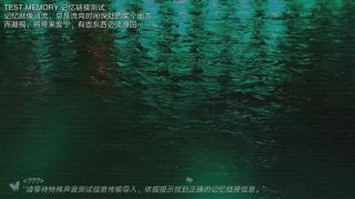 搜索·迷城掠影/The phantom of the city