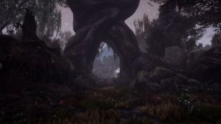 The Dead Tree of Ranchiuna