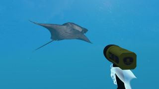 Dive with Sylvia VR