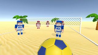 Volleyball Fever