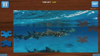 Bepuzzled Jigsaw Puzzle: Aquatic