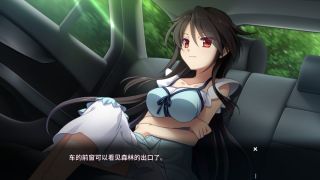 月影魅像-解放之羽- / Tsukikage no Simulacre:Kaihou no Hane