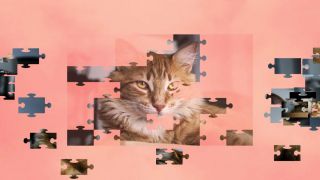 Jigsaw Puzzle Cats