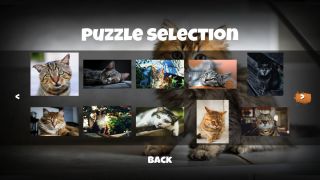 Jigsaw Puzzle Cats