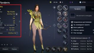 Гайд по Black Desert Mobile — Клановое имя и Профиль