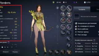 Гайд по Black Desert Mobile — Клановое имя и Профиль