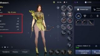 Гайд по Black Desert Mobile — Клановое имя и Профиль