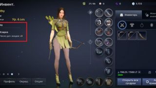 Гайд по Black Desert Mobile — Клановое имя и Профиль