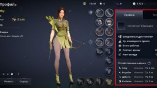 Гайд по Black Desert Mobile — Клановое имя и Профиль