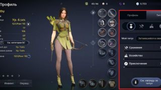 Гайд по Black Desert Mobile — Клановое имя и Профиль