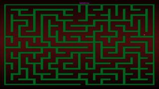 FlickerMAZE