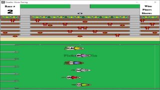 Quarter Horse Racing