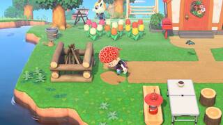 Animal Crossing: New Horizons