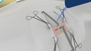 PST VR (Primary Surgical Treatment)