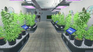 Weed Shop 3