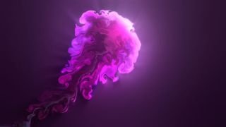 Fluid VR