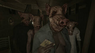 The Swine