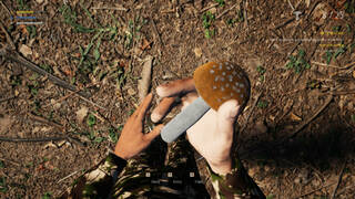 Mushroom Picker Simulator