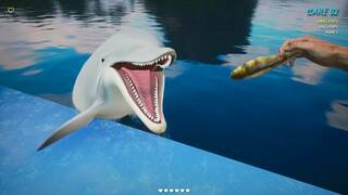 Dolphin Trainer VR