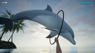 Dolphin Trainer VR