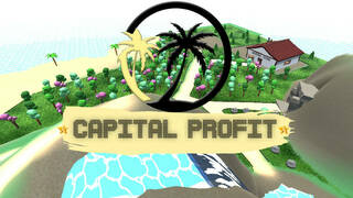 Capital Profit