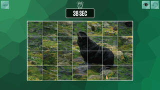 Easy puzzle: Animals 2