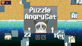 Puzzle Angry Cat