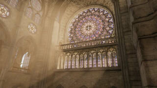 Notre-Dame de Paris: Journey Back in Time